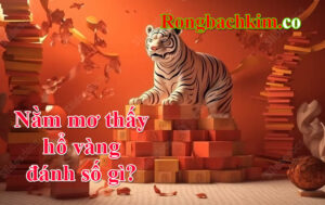 nằm mơ thấy hổ vàng