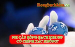 soi cầu rồng bạch kim