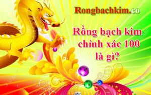 rồng bạch kim chính xác 100