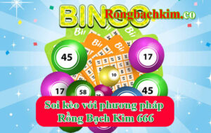 Rồng Bạch Kim 666