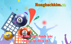 Những thông tin mà Soi cầu 366 cung cấp