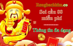 Lý do soi cầu 88 miễn phí được cược thủ yêu thích
