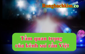 Tầm quan trọng của kênh soi cầu Việt đối với người chơi