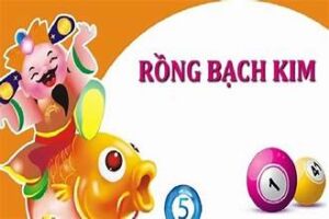 dàn đề 50 số rồng bạch kim